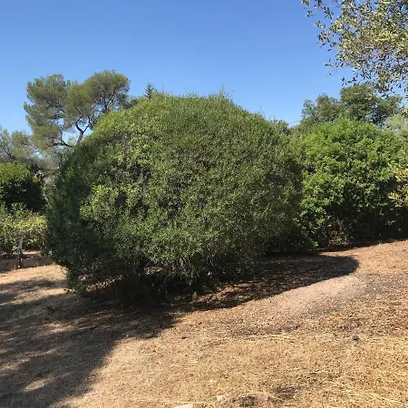 Villa Des Annees 30 Saint-Raphael (Var)