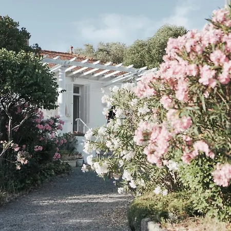 Des Annees 30 Villa Saint-Raphael (Var)